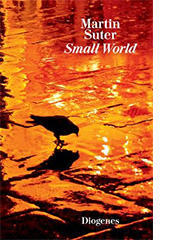 Buchcover Small World